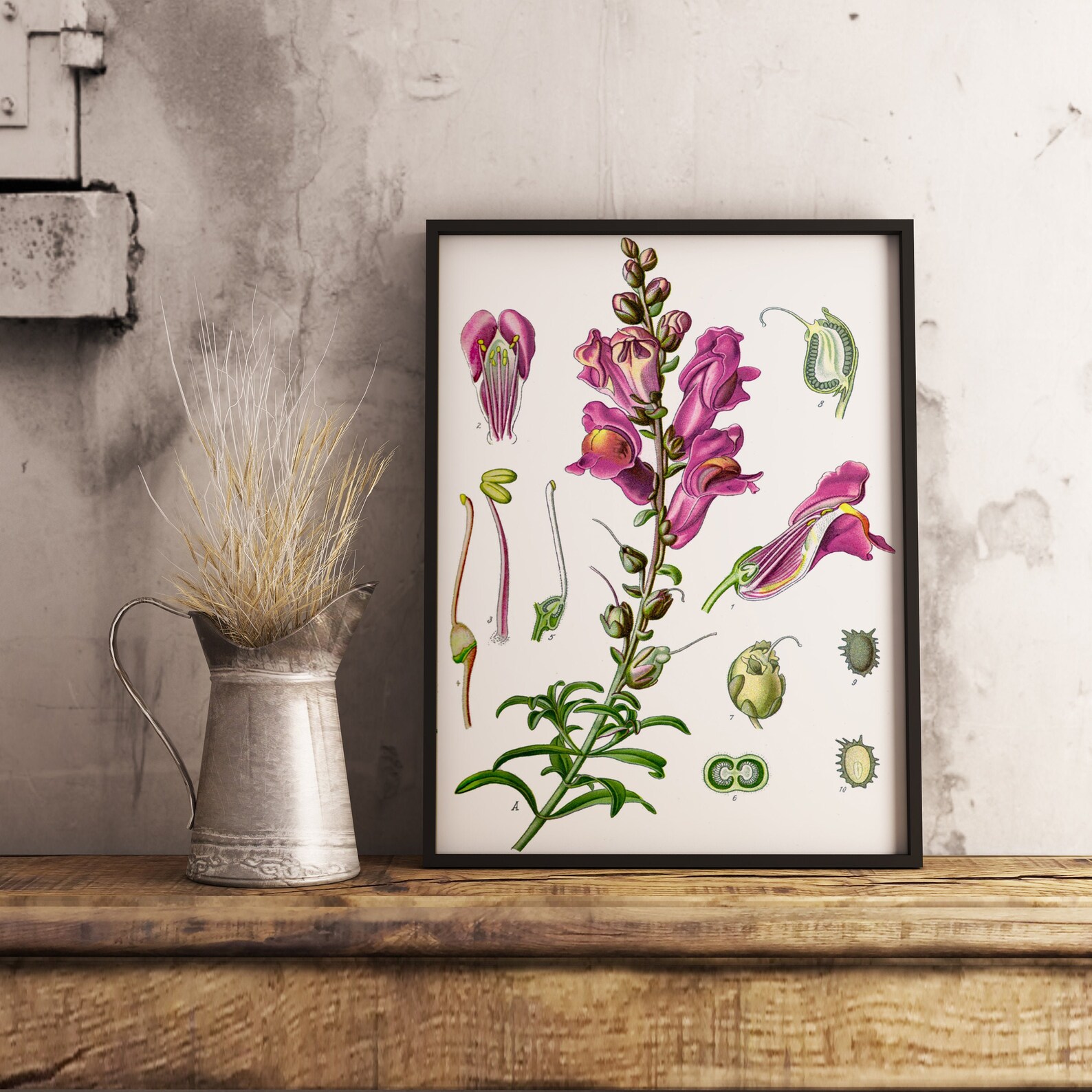 Vintage floral poster vintage floral print vintage flower Etsy