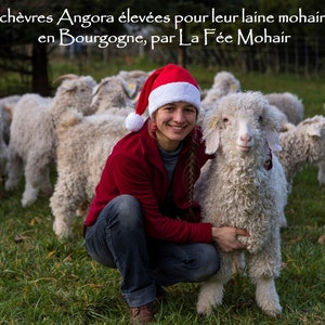 May include: A woman wearing a red Santa hat is kneeling in a field of grass with a white Angora goat. The goat has long, fluffy fur. The woman is smiling and holding the goat's neck. There are other goats in the background.