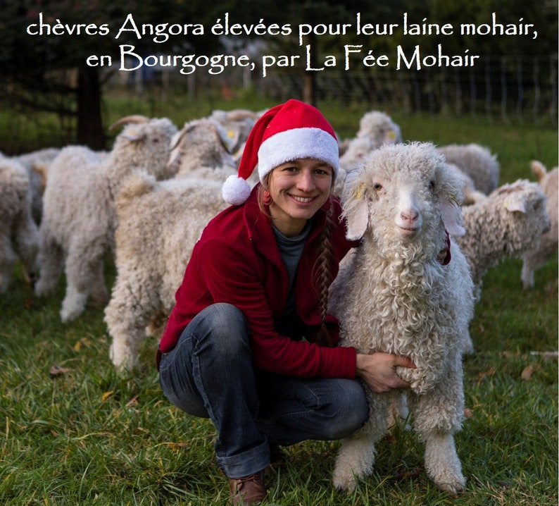 May include: A woman wearing a red Santa hat is kneeling in a field of grass with a white Angora goat. The goat has long, fluffy fur. The woman is smiling and holding the goat's neck. There are other goats in the background.