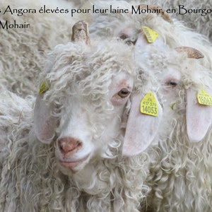 cape de mariage laine mohair produite et tricotée en Bourgogne cape Mésange La Fée Mohair image 10
