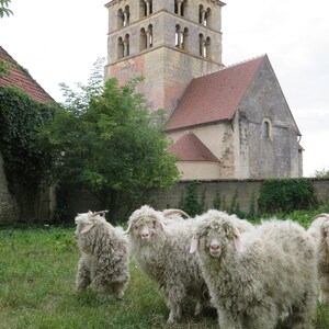 cape de mariage spéciale dos nu, laine mohair produite et tricotée Bourgogne cape Moebius La Fée Mohair image 10