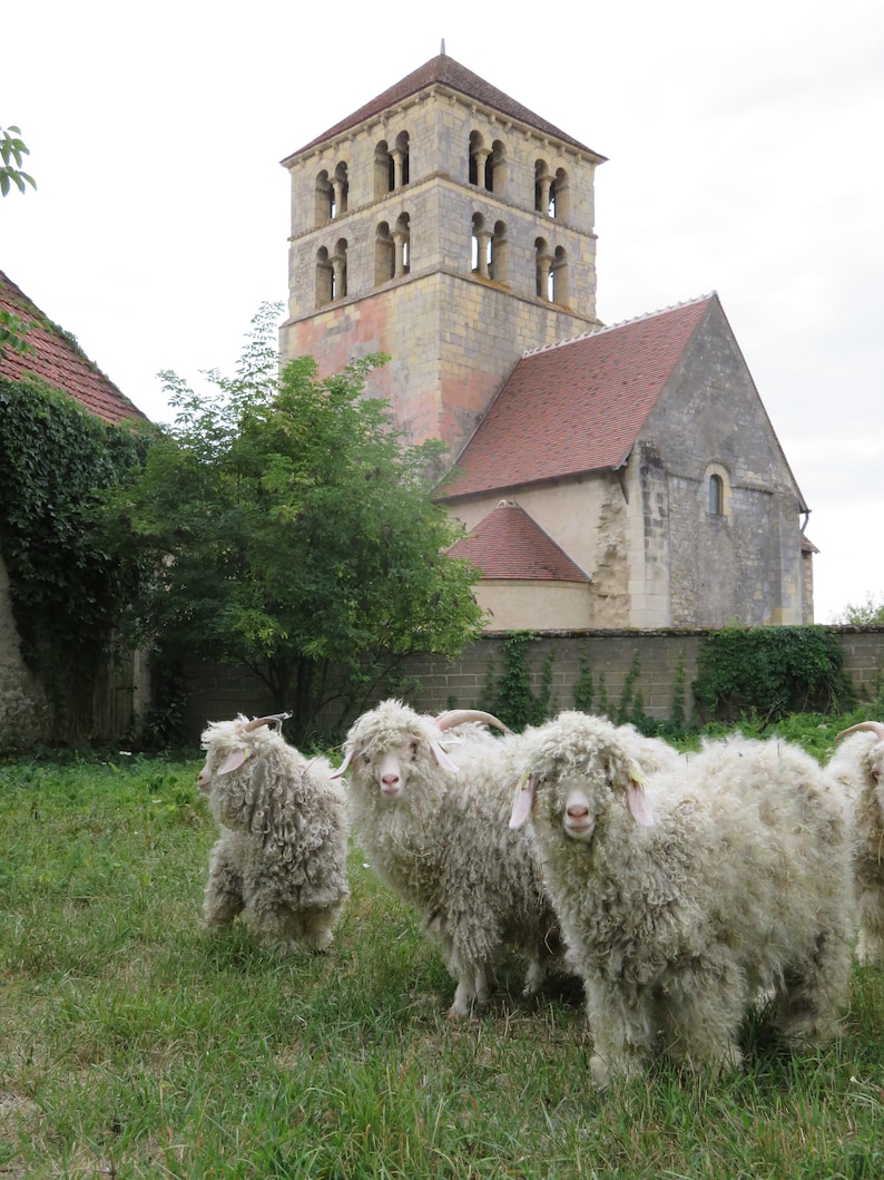 cape de mariage spéciale dos nu, laine mohair produite et tricotée Bourgogne cape Moebius La Fée Mohair image 10
