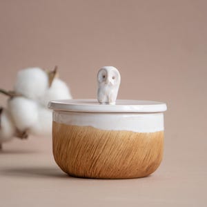 Owl Salt Cellar with lid Ceramic, Organic Personalized Handmade Pottery Wabi Sabi Kitchen Christmas Gift