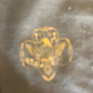 May include: A gold-coloured Girl Scout emblem, featuring an eagle and the words "Girl Scouts" at the top. The emblem is set against a muted, olive-green background.