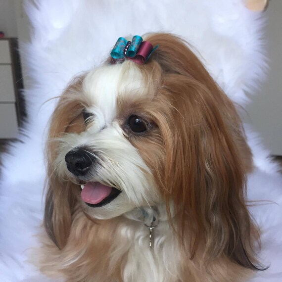 dog hair accessories