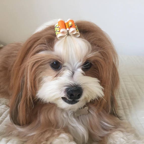 Download Dog Hair Bow Emergency Dog Hair Bows Puppy Bow Clip Dog Etsy