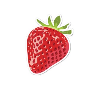 Strawberry Sticker Fruit Vinyl Stickers Waterproof Sticker Water Bottle Stickers Laptop Sticker Best Friend Gift Idea image 1