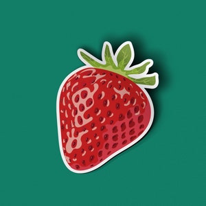 Strawberry Sticker Fruit Vinyl Stickers Waterproof Sticker Water Bottle Stickers Laptop Sticker Best Friend Gift Idea image 6