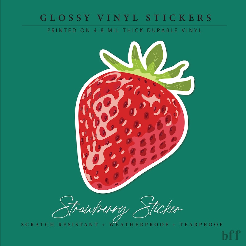 Strawberry Sticker Fruit Vinyl Stickers Waterproof Sticker Water Bottle Stickers Laptop Sticker Best Friend Gift Idea image 2