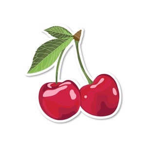 Red Cherry Sticker | Fruit Vinyl Stickers | Waterproof Sticker | Water Bottle Stickers |  Laptop Sticker | Best Friend Gift Idea