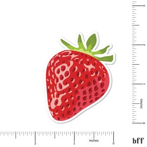 Strawberry Sticker Fruit Vinyl Stickers Waterproof Sticker Water Bottle Stickers Laptop Sticker Best Friend Gift Idea image 3