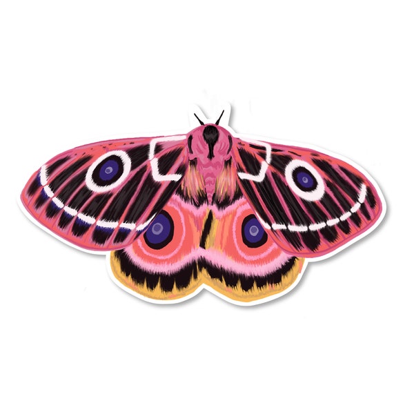 Pink Moth Sticker | Animal Vinyl Stickers | Waterproof Sticker | Water Bottle Stickers |  Laptop Sticker | Best Friend Gift Idea