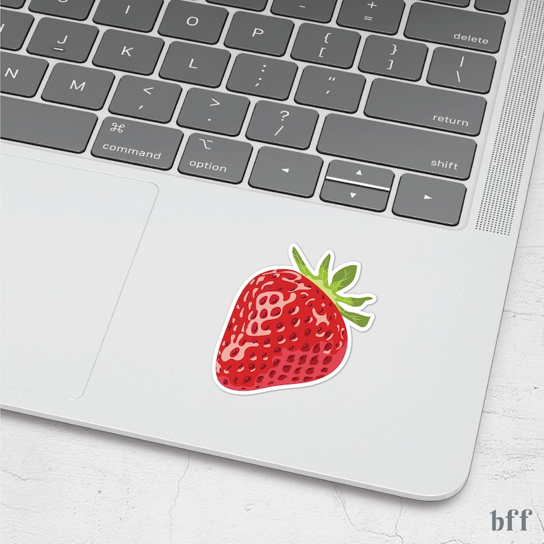 Strawberry Sticker Fruit Vinyl Stickers Waterproof Sticker Water Bottle Stickers Laptop Sticker Best Friend Gift Idea image 4