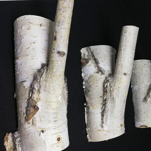 Puede incluir: Tres ganchos de pared de madera de abedul natural con un aspecto r&uacute;stico y org&aacute;nico. Los ganchos est&aacute;n hechos de ramas con un acabado natural de corteza.
