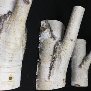 Puede incluir: Tres ramas de abedul de madera con corteza natural, cada una con una forma y un tama&ntilde;o &uacute;nicos. Las ramas son blancas con marcas marrones y tienen una textura rugosa. Son perfectas para agregar un toque r&uacute;stico a cualquier decoraci&oacute;n del hogar.
