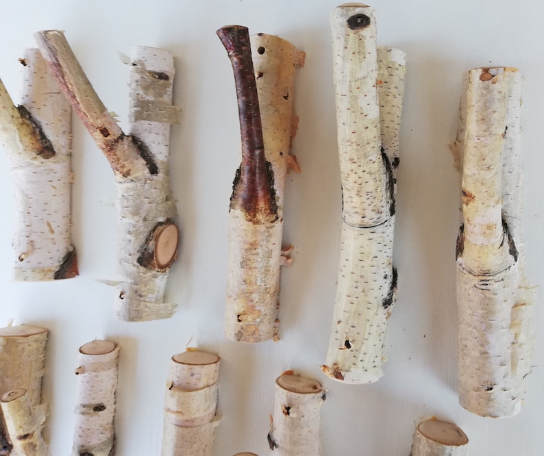 May include: A collection of natural birch branches with a white bark and brown knots. The branches are various sizes and shapes, some are forked and some are straight. The branches are perfect for crafting and decorating.