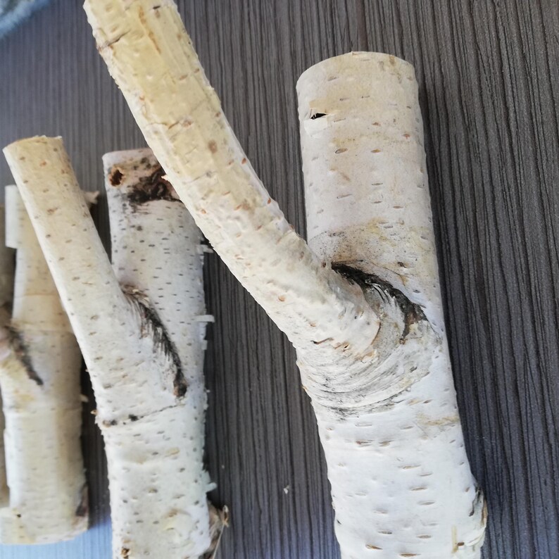 Puede incluir: Cuatro ramas naturales de abedul con la corteza a&uacute;n en ellas. Las ramas son de diferentes tama&ntilde;os y formas, y todas son blancas con marcas marrones. Son perfectas para manualidades o decoraci&oacute;n.