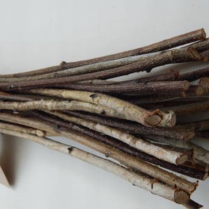 May include: A bundle of natural brown and white twigs tied together with twine. The twigs are approximately 12 inches long and are perfect for crafting projects.