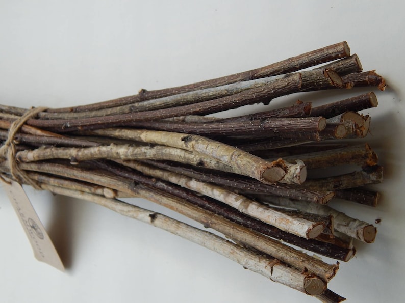May include: A bundle of natural brown and white twigs tied together with twine. The twigs are approximately 12 inches long and are perfect for crafting projects.