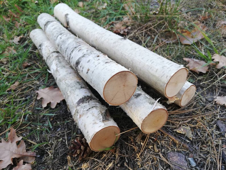 5 Birch Logs White Wood Fireplace Craft Decoration Rustic Wedding Decor