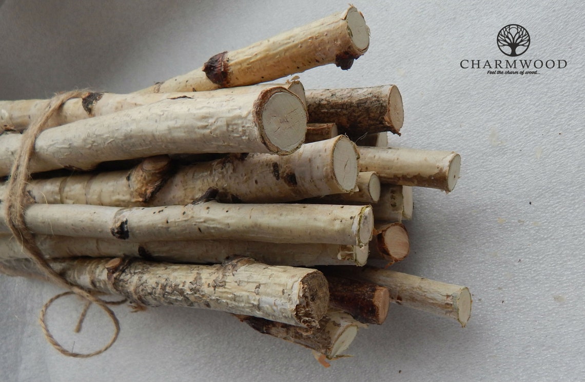 30 Birch Sticks. Wood Crafts. Wooden Sticks. Birch Wood Etsy UK