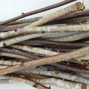 Birch branches 40 pcs, birch tree decor, natural branch, wooden twigs, Craft sticks, decorative birch, birch wood decor, tree branch wedding