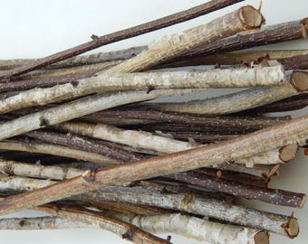 Branches de bouleau 40 pcs, décor de bouleau, branche naturelle, brindilles en bois, bâtons d’artisanat, bouleau décoratif, décor en bois de bouleau, mariage de branche d’arbre