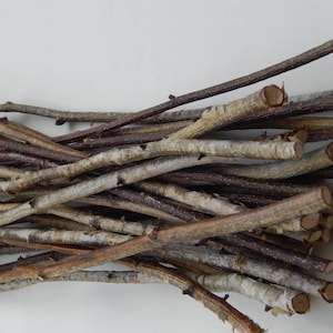 May include: A bundle of natural twigs, some with a light brown bark and others with a darker brown bark. The twigs are arranged in a random pattern, creating a rustic and natural look.