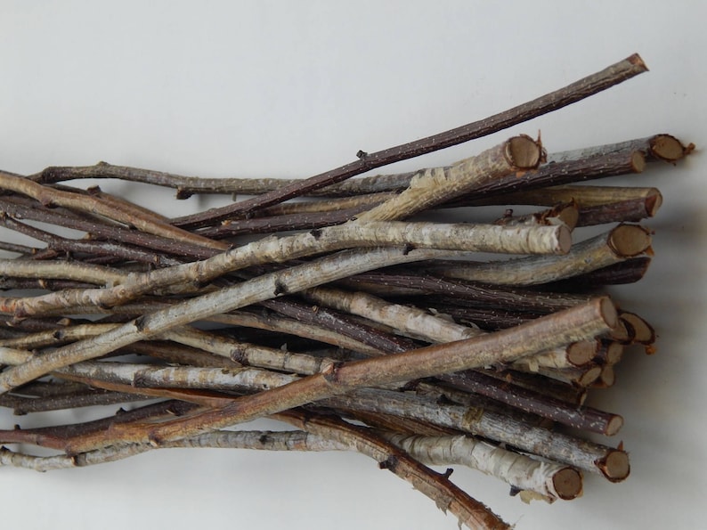 May include: A bundle of natural twigs, some with a light brown bark and others with a darker brown bark. The twigs are arranged in a random pattern, creating a rustic and natural look.