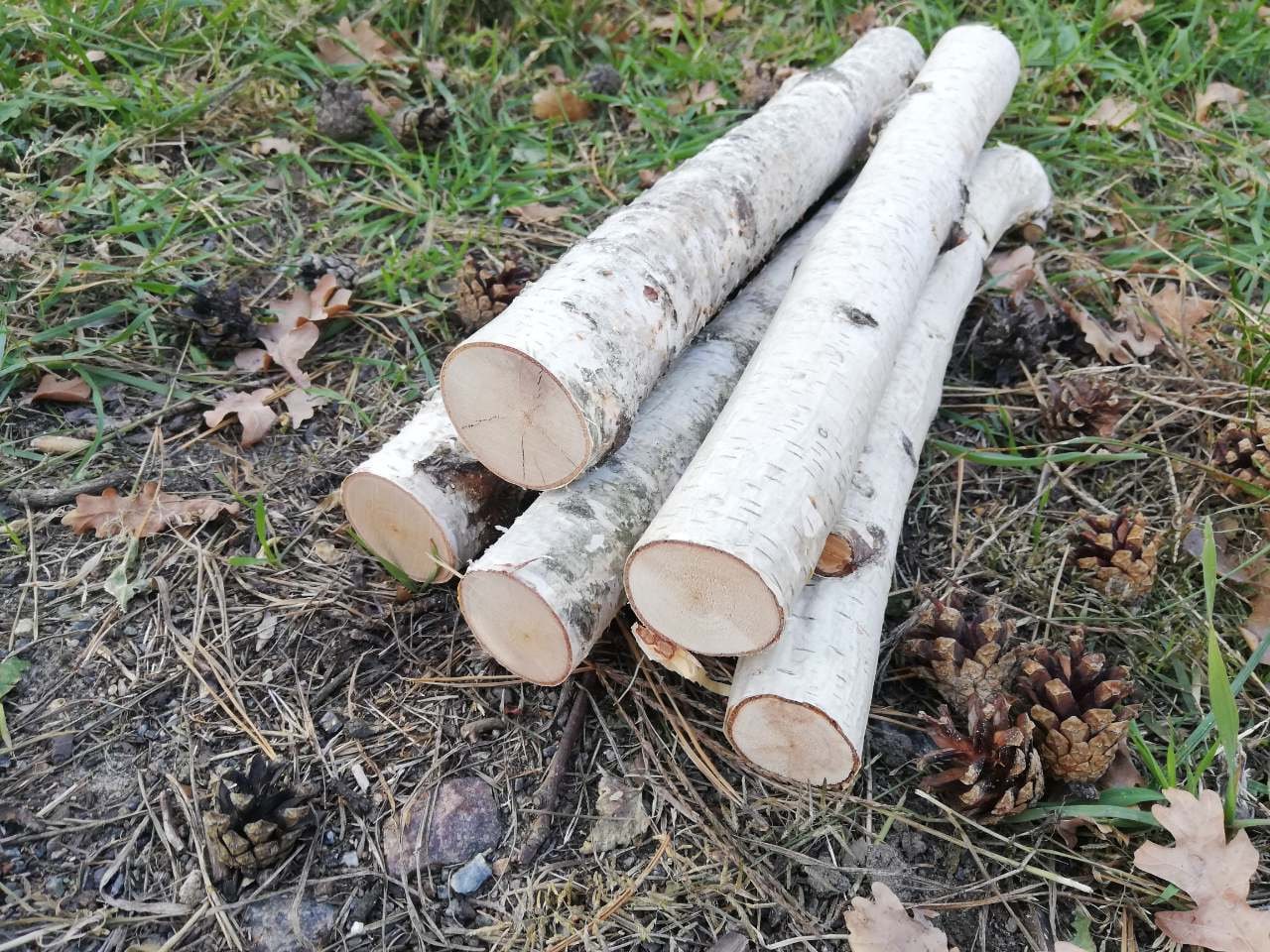 White Birch Fireplace Logs Cottagecore Decor Birch Logs Set of 5