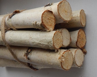 SALE! 10 Birch logs. Wood sticks. Birch tree. Decor for fireplace.Craft birch.White birch logs Decoration birch. decoration logs Craft logs