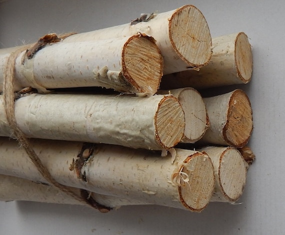 SALE 10 Birch Logs. Wood Sticks. Birch Tree. Decor for Fireplace.craft Birch.white  Birch Logs Decoration Birch. Decoration Logs Craft Logs 