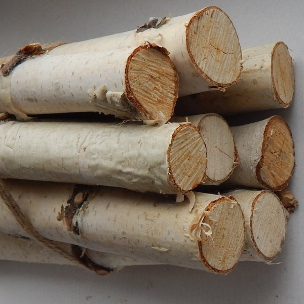 SALE! 10 Birch logs. Wood sticks. Birch tree. Decor for fireplace.Craft birch.White birch logs Decoration birch. decoration logs Craft logs