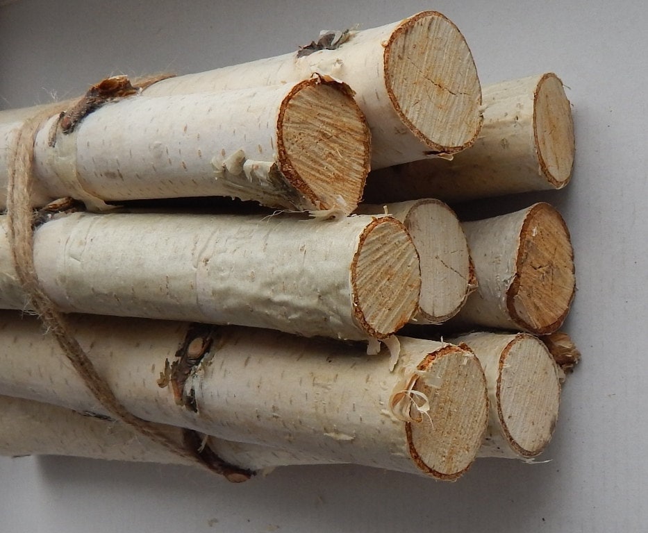 White Birch Fireplace Logs Cottagecore Decor Birch Logs Set of 5