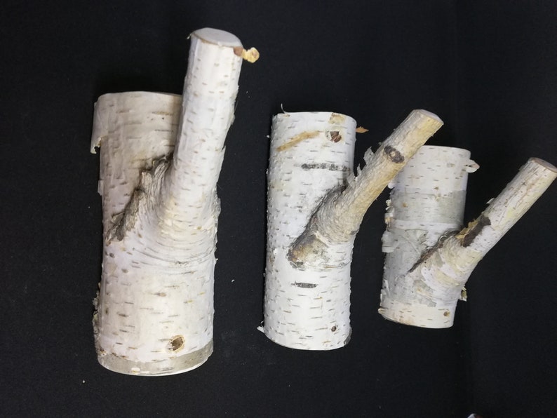 Puede incluir: Tres ganchos de pared de madera de abedul blanco con ramas naturales. Los ganchos est&aacute;n hechos de madera de abedul y tienen un acabado natural. Son perfectos para colgar abrigos, sombreros u otros art&iacute;culos.