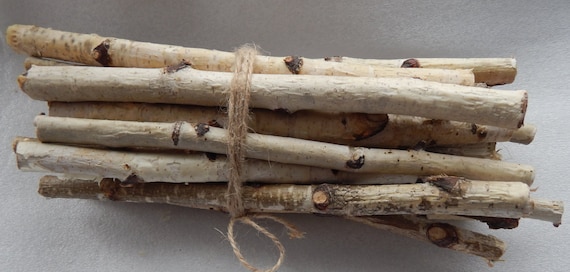 30 Birch Sticks. Wood Crafts. Wooden Sticks. Birch Wood Logs.forest Birch.  Wood Craft Sticks. Birch Sticks. Natural Wood Sticks 