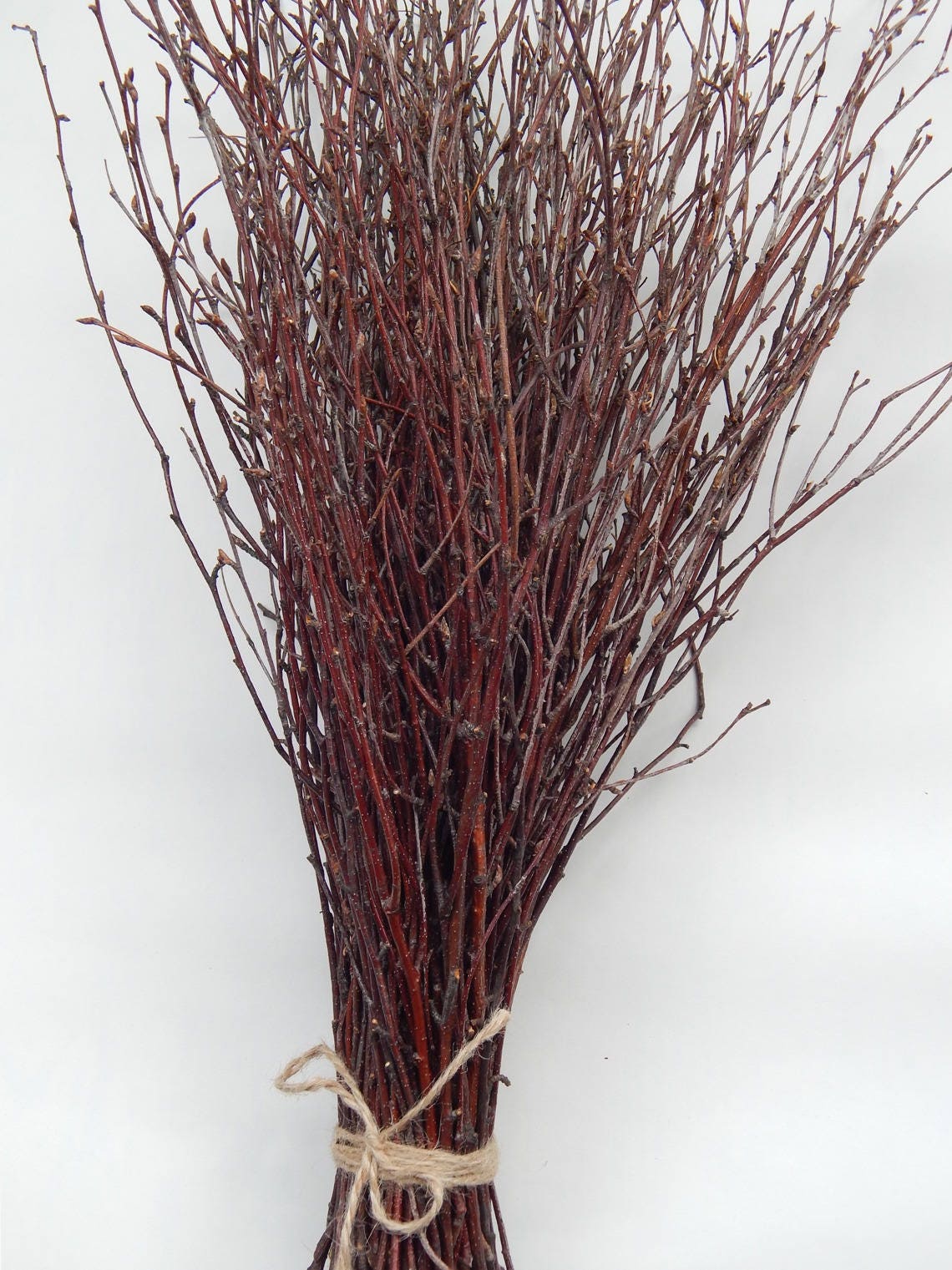 Birch Twigs 150 Pcs.birch Twigs Bundlewoodland Weddingbirch Etsy