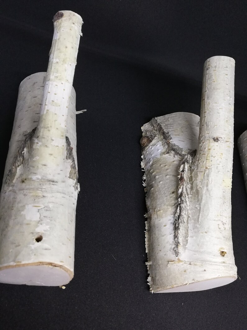 Puede incluir: Dos ganchos de pared de madera de abedul blanco con un acabado natural de corteza. Los ganchos tienen forma de ramas con una parte superior curva para colgar objetos.