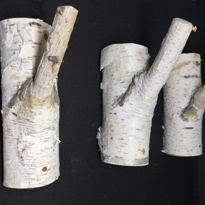 Puede incluir: Tres ganchos de pared de madera de abedul blanco con ramas naturales. Los ganchos son de diferentes tama&ntilde;os y tienen un aspecto r&uacute;stico y natural.