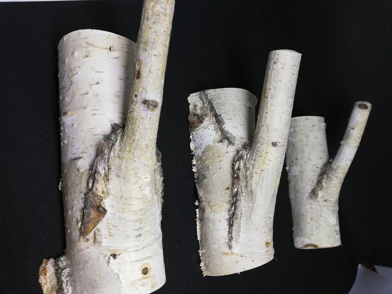 Puede incluir: Tres ganchos de pared de madera de abedul natural con un aspecto r&uacute;stico y org&aacute;nico. Los ganchos est&aacute;n hechos de ramas con un acabado natural de corteza.