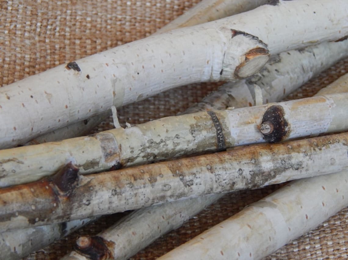 20 white birch sticks. Wood Logs. Wedding birch decor. White Etsy