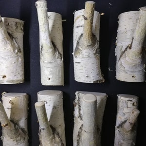 Puede incluir: Diez ganchos de madera de abedul natural con un aspecto r&uacute;stico y org&aacute;nico. Los ganchos est&aacute;n hechos de ramas con la corteza a&uacute;n en ellos. Son perfectos para colgar abrigos, sombreros u otros art&iacute;culos en un pasillo, entrada o dormitorio.