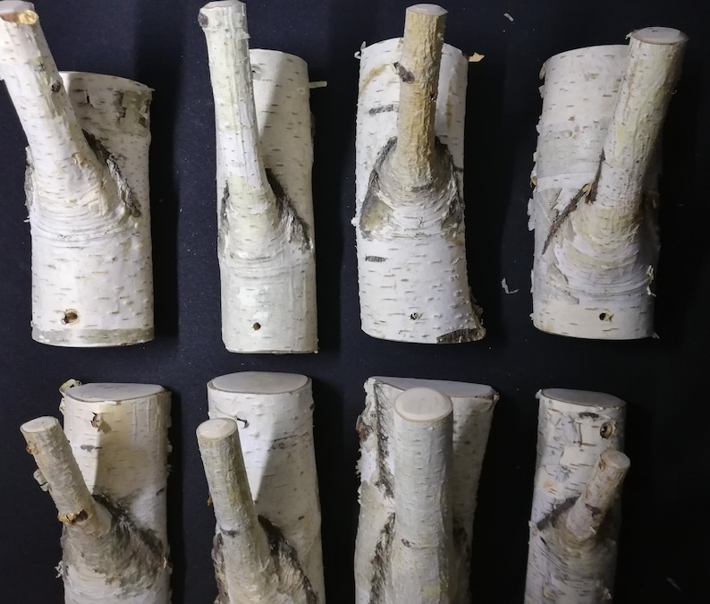 Puede incluir: Diez ganchos de madera de abedul natural con un aspecto r&uacute;stico y org&aacute;nico. Los ganchos est&aacute;n hechos de ramas con la corteza a&uacute;n en ellos. Son perfectos para colgar abrigos, sombreros u otros art&iacute;culos en un pasillo, entrada o dormitorio.