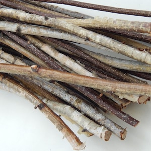 Birch branches 40 pcs, birch tree decor, natural branch, wooden twigs, Craft sticks, decorative birch, birch wood decor, tree branch wedding