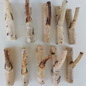 May include: Ten natural birch wood branches with a rustic, organic look. The branches are various sizes and shapes, with some having a natural curve or fork. They are perfect for crafting, decorating, or adding a touch of nature to your home.