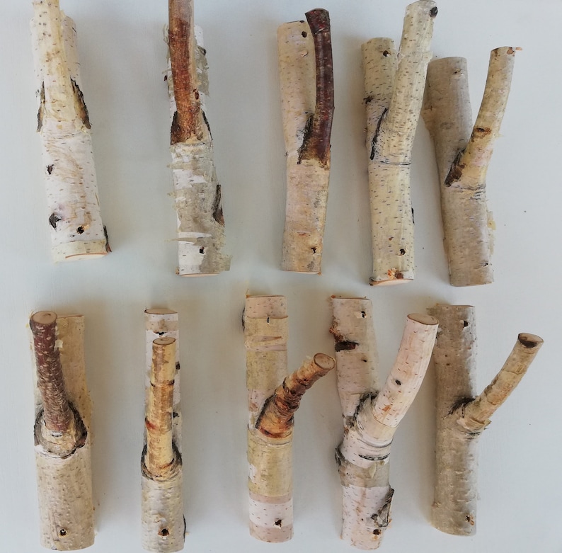 May include: Ten natural birch wood branches with a rustic, organic look. The branches are various sizes and shapes, with some having a natural curve or fork. They are perfect for crafting, decorating, or adding a touch of nature to your home.