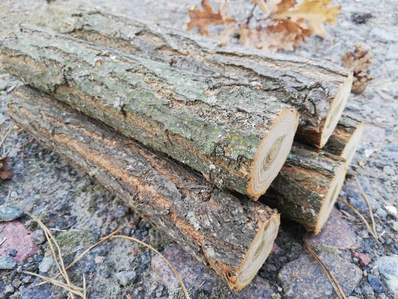 5 Wood Logs Log With Bark Rustic Log Decor Log Decor Fireplace Etsy