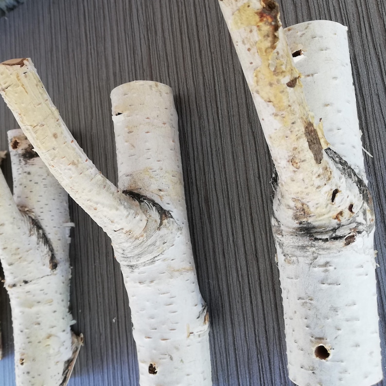 Puede incluir: Cuatro ramas de madera de abedul natural con una textura de corteza blanca rugosa. Las ramas se han cortado y lijado hasta que las puntas son lisas, creando una forma de gancho. Son perfectas para colgar objetos en una pared.