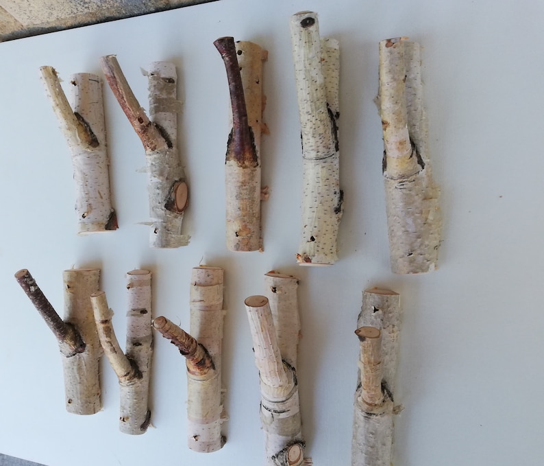May include: A collection of ten natural birch wood branches, each with a unique shape and texture. The branches are all white with a natural wood grain. They are perfect for crafting, decorating, or adding a touch of nature to your home.