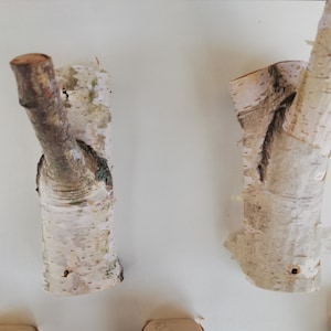 May include: Two natural birch wood branches with bark, mounted on a white wall, are shaped into hooks. The branches are approximately 10 inches long.